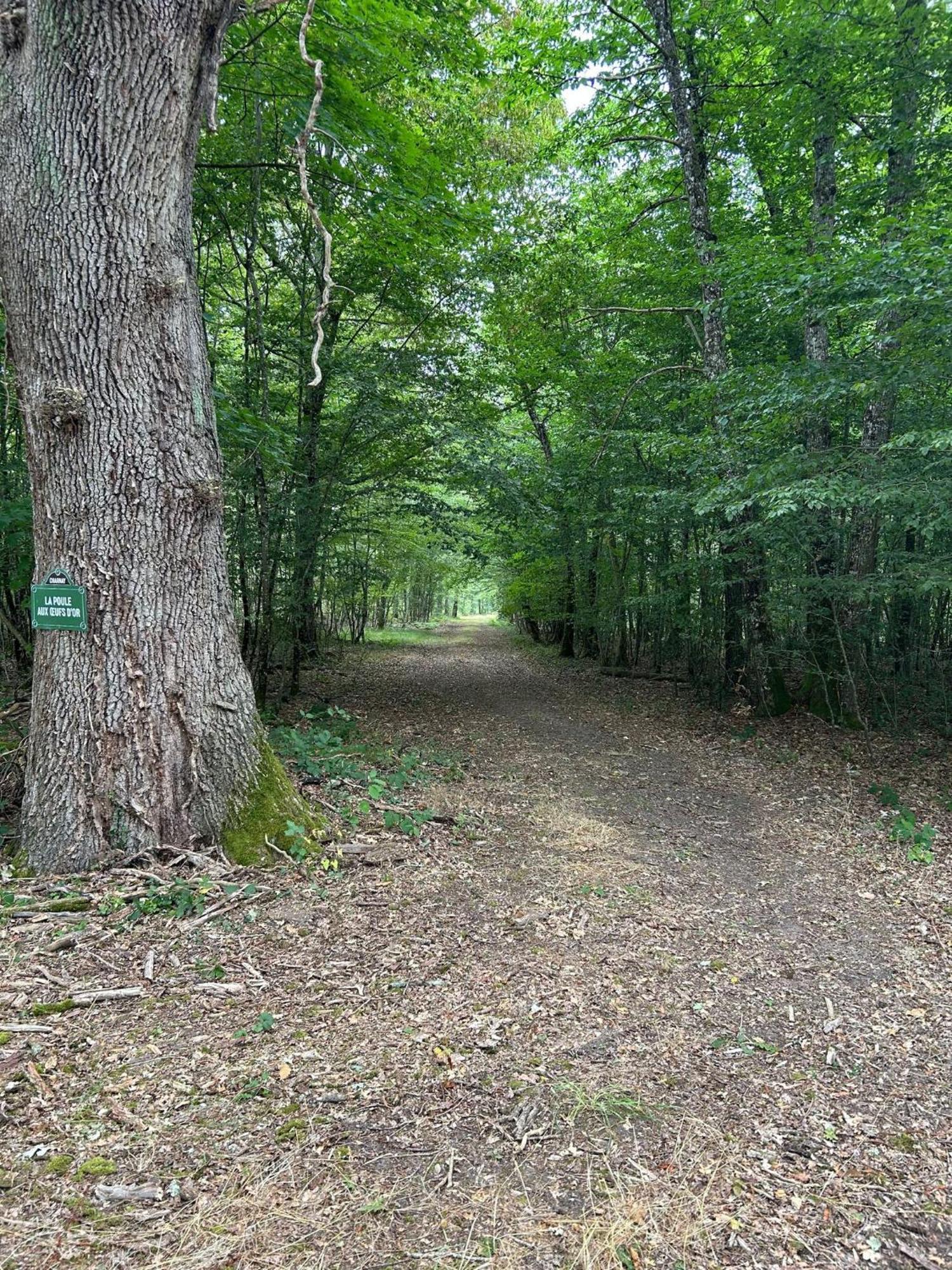 Domaine De Charnay - Charme Et Confort Dans Un Environnement D'Exception 维耶尔宗 外观 照片