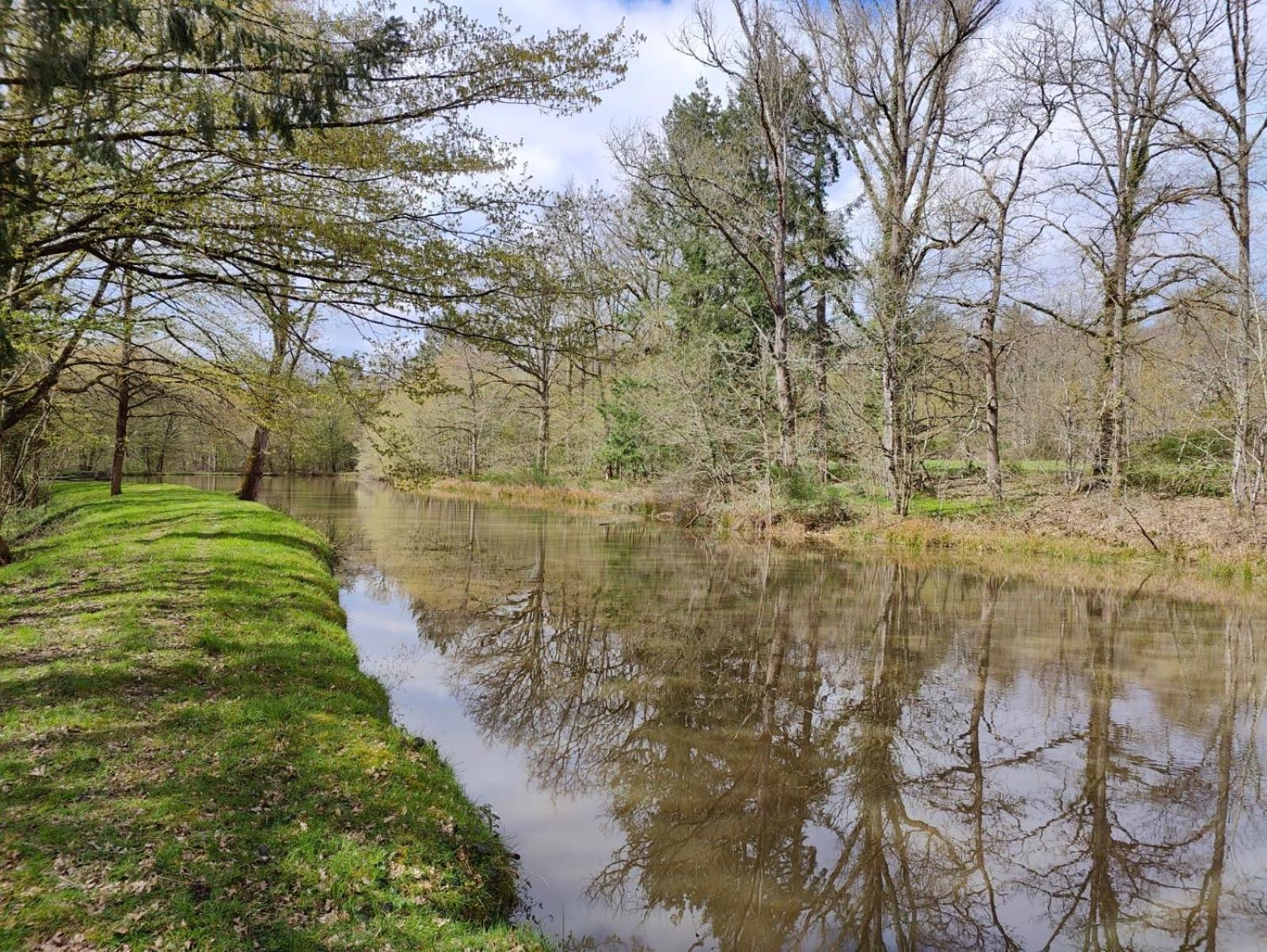 Domaine De Charnay - Charme Et Confort Dans Un Environnement D'Exception 维耶尔宗 外观 照片