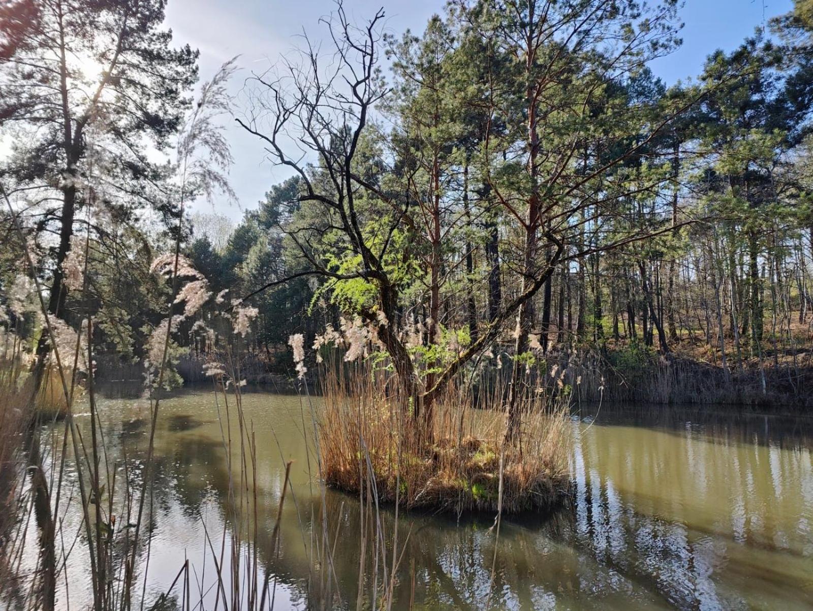 Domaine De Charnay - Charme Et Confort Dans Un Environnement D'Exception 维耶尔宗 外观 照片