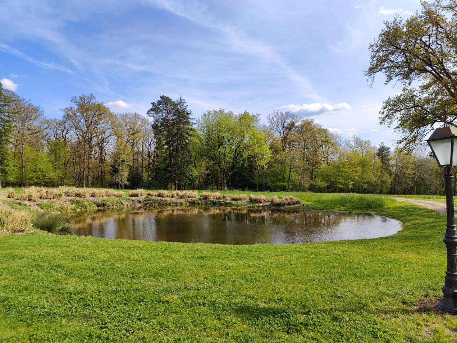 Domaine De Charnay - Charme Et Confort Dans Un Environnement D'Exception 维耶尔宗 外观 照片